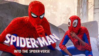 Spider-Man : dans le Spider-Verse