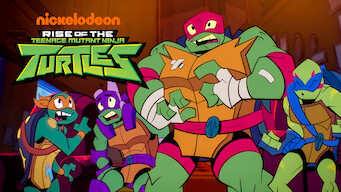 Rise of the Teenage Mutant Ninja Turtles: Season 2